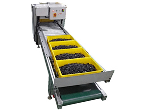 Automated conveyor system